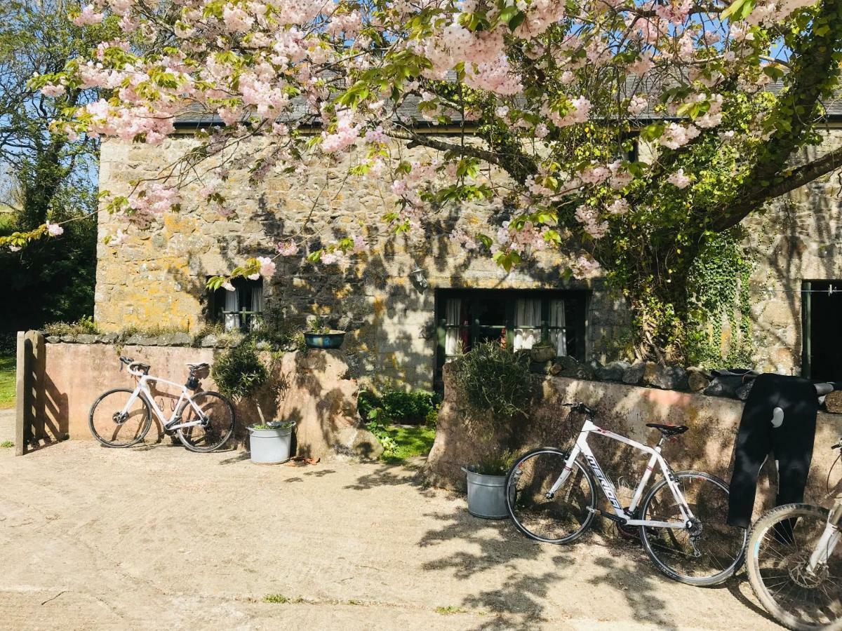 The Barn, Higher Boden, Manaccan, Helston, Cornwall Eksteriør bilde